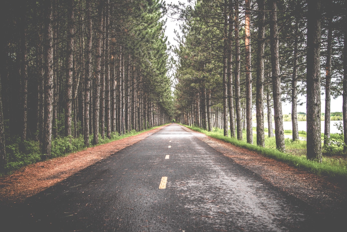 Roadmap
